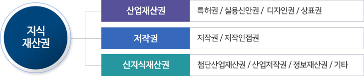지식재산권의 정의